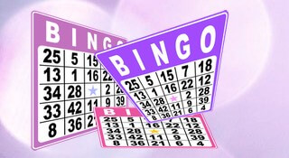 Bingo spel artikel