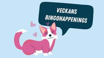 Söt rosa hund med pratbubbla där det står "Veckans bingohappenings"