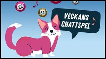 En liten rosa hund som står intill en pratbubbla där det står "Veckans chattspel" Ovanför hunden svävar bingobollar och noter.