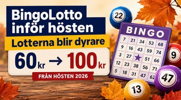 Höstlöv, bingobricka och bingobollar samt text om att bingolotterna blir dyrare från 60 till 100 kronor.
