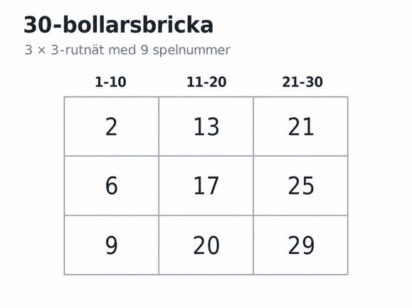 Illustration som visar en bricka i 30-bollarsbingo