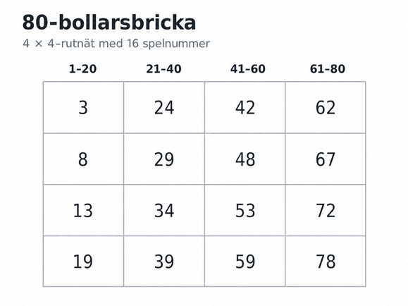 Exempel på hur en bricka i 80-bollarsbingo är uppbyggd