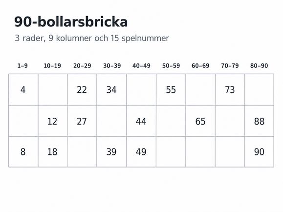 Exempel på hur en bingobricka i 90-bollarsbingo ser ut.