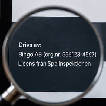Förstoringsglas som fokuserar på företagsnamn och licensinformation på en bingosajt.