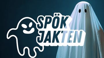 Bild på bingospelet Spökjakten hos Miljonlotteriet